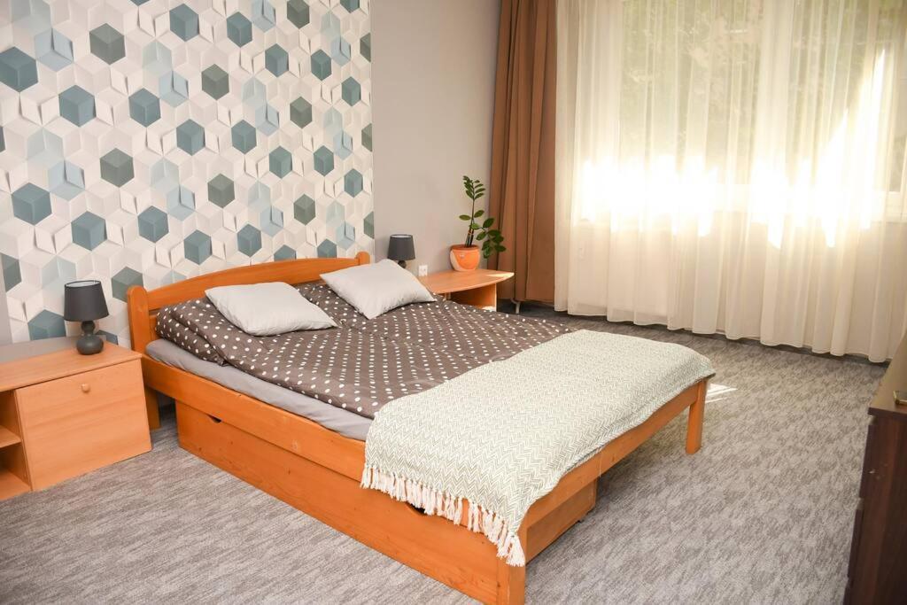 Dora Apartman Best Location & Free Parking Debrecen Extérieur photo