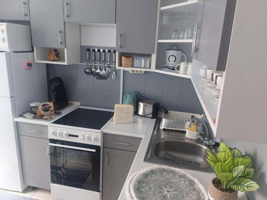 Dora Apartman Best Location & Free Parking Debrecen Extérieur photo